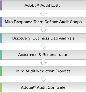 Adobe Audit Process